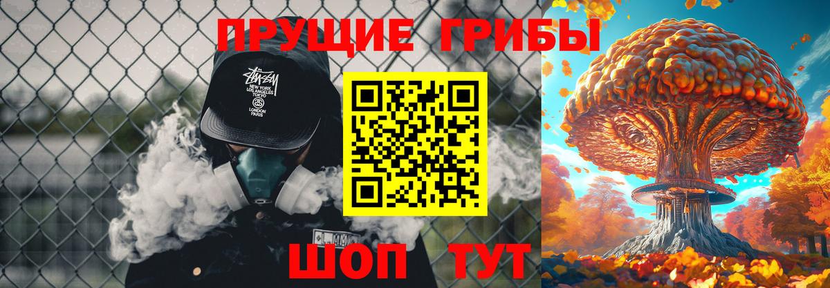 где продают наркотики  Псилоцибиновые грибы прущие грибы  Вход с VPN  Галлюциногенные грибы Psilocybe  Улан-Удэ 